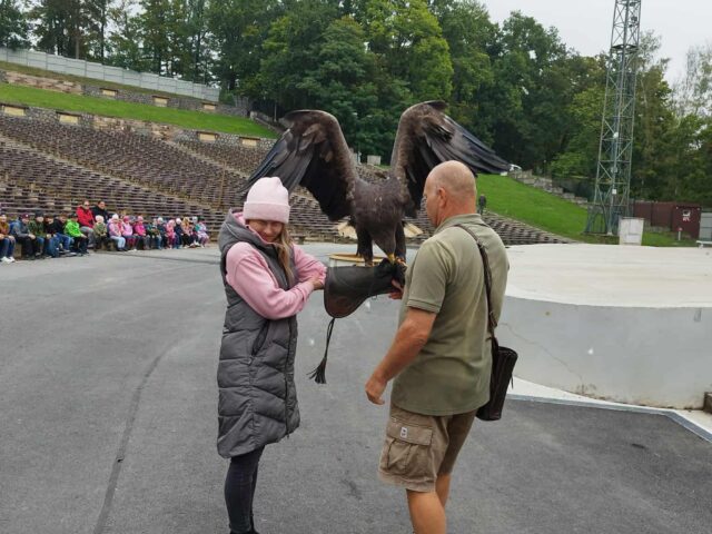 Obrázek k příspěvku ZOO Plzeň