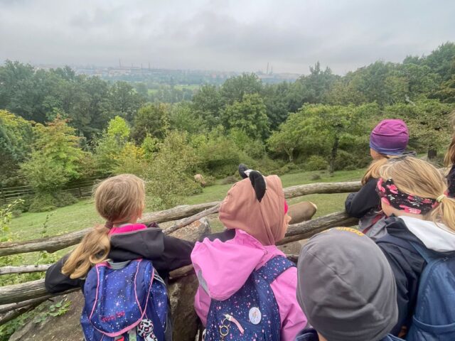 Obrázek k příspěvku ZOO Plzeň