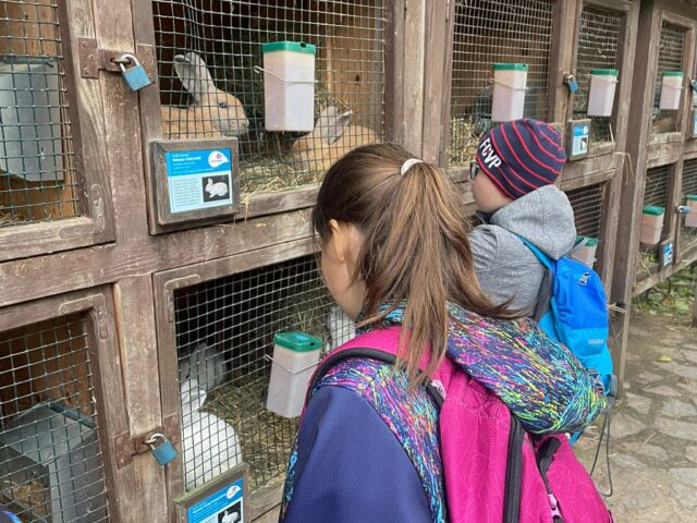 Obrázek k příspěvku ZOO Plzeň