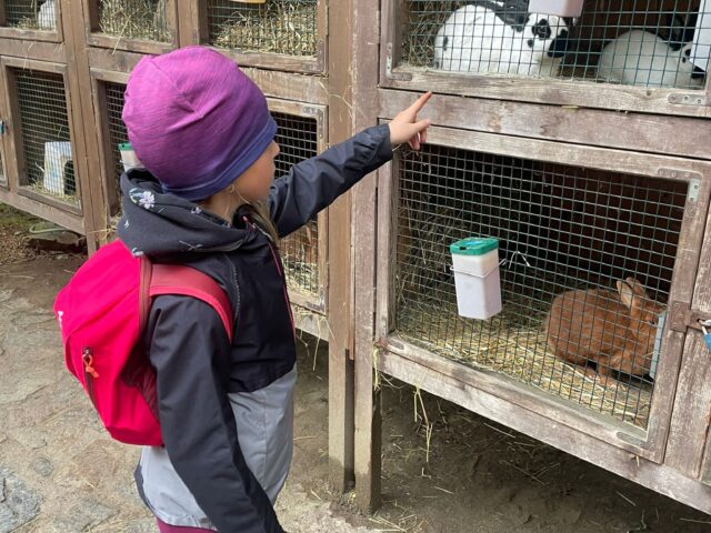 Obrázek k příspěvku ZOO Plzeň