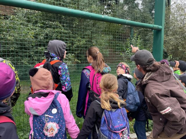 Obrázek k příspěvku ZOO Plzeň