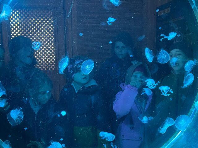 Obrázek k příspěvku ZOO Plzeň