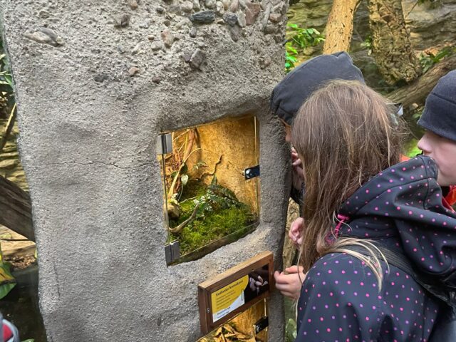 Obrázek k příspěvku ZOO Plzeň