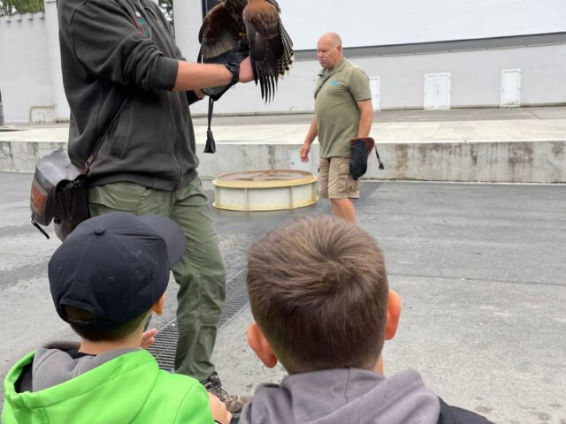 Obrázek k příspěvku ZOO Plzeň