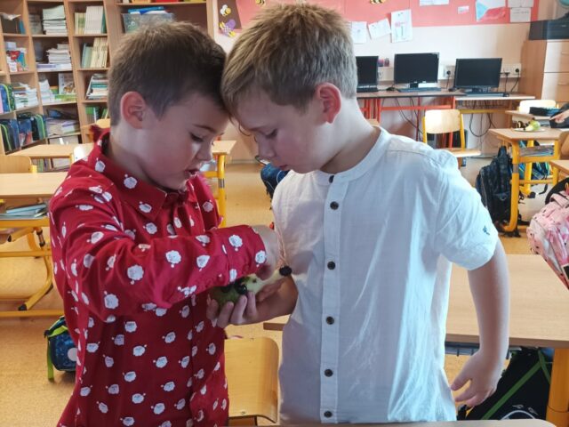 Obrázek k příspěvku ŠD - září