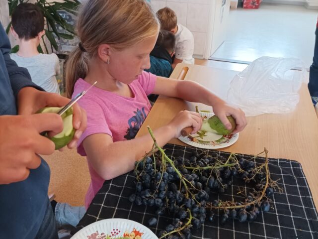 Obrázek k příspěvku ŠD - září