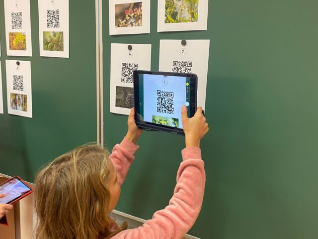 Obrázek k příspěvku Den stromů