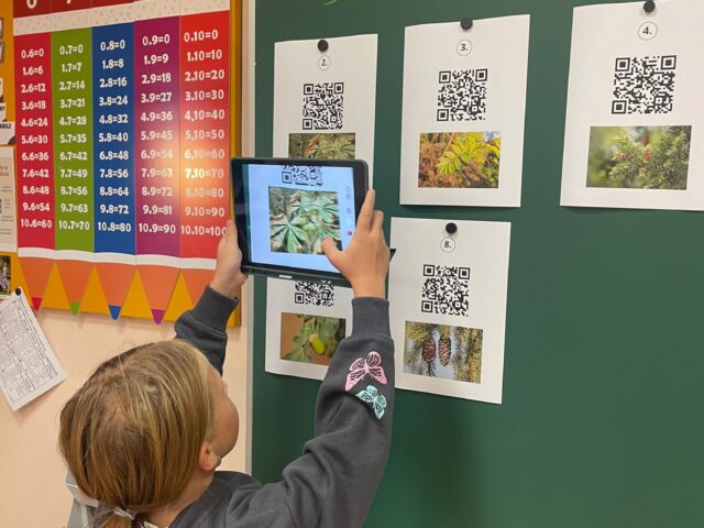 Obrázek k příspěvku Den stromů