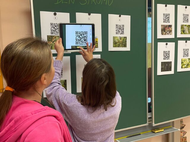 Obrázek k příspěvku Den stromů