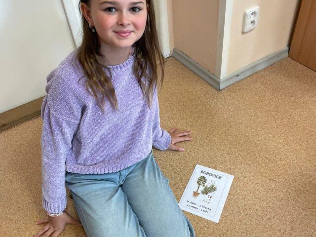 Obrázek k příspěvku Den stromů