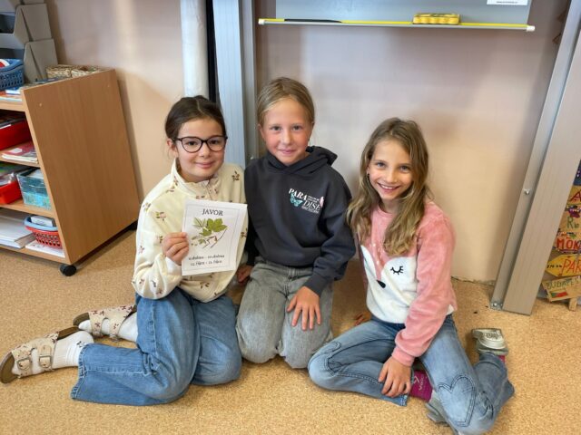 Obrázek k příspěvku Den stromů