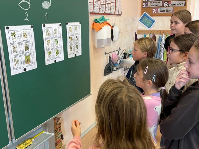 Obrázek k příspěvku Den stromů