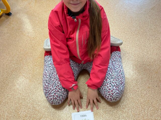 Obrázek k příspěvku Den stromů