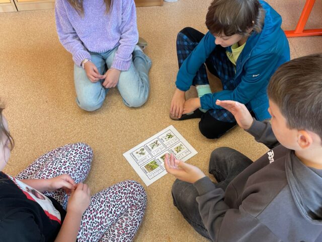 Obrázek k příspěvku Den stromů