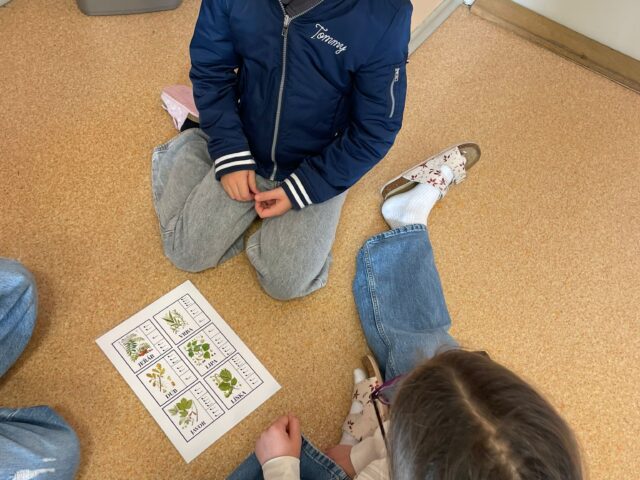 Obrázek k příspěvku Den stromů