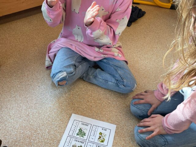 Obrázek k příspěvku Den stromů