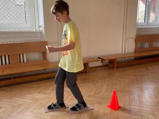 Obrázek k příspěvku Naši olympionici