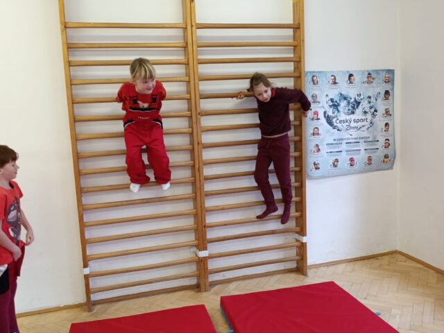 Obrázek k příspěvku Olympionici pokračují