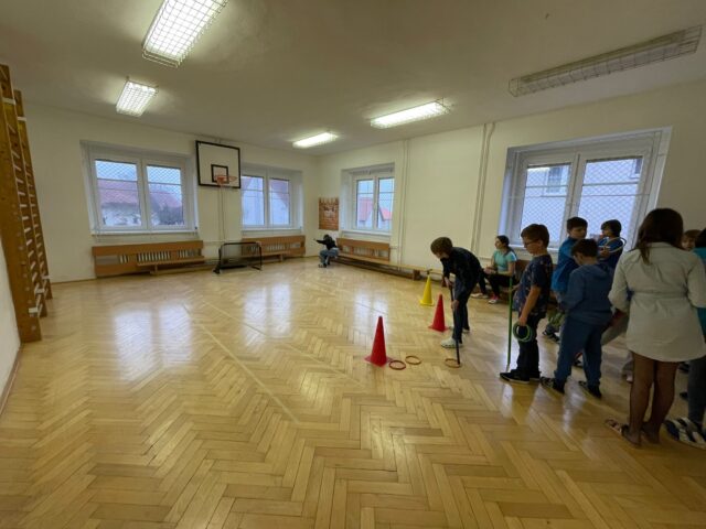 Obrázek k příspěvku Naši olympionici