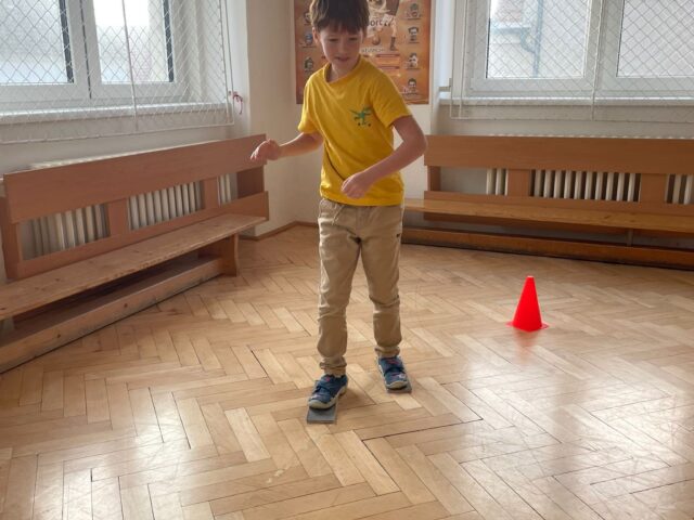 Obrázek k příspěvku Naši olympionici