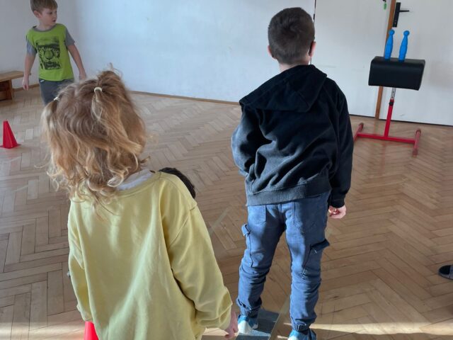 Obrázek k příspěvku Naši olympionici