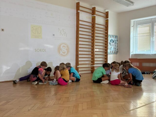 Obrázek k příspěvku Celoroční projekt