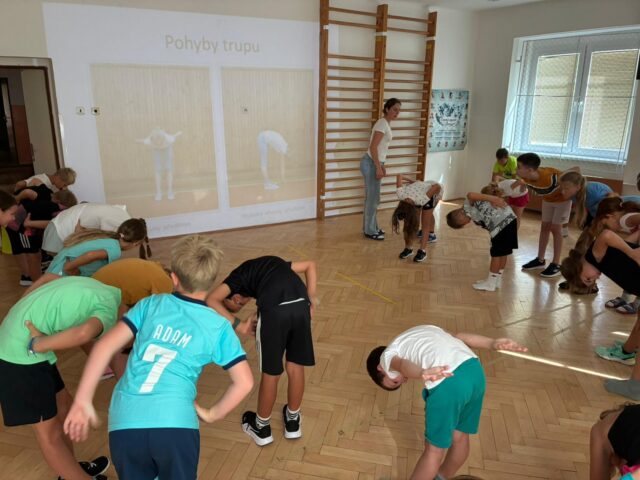 Obrázek k příspěvku Celoroční projekt